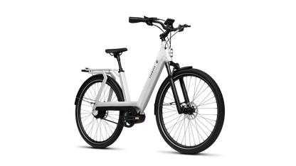 TENWAYS AGO T  | Urban All-rounder e-Bike | 100 km