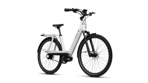 TENWAYS AGO T  | Urban All-rounder e-Bike | 100 km