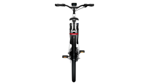 TENWAYS AGO T  | Urban All-rounder e-Bike | 100 km