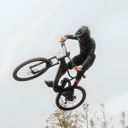 ECROWN PERFORMANTE S