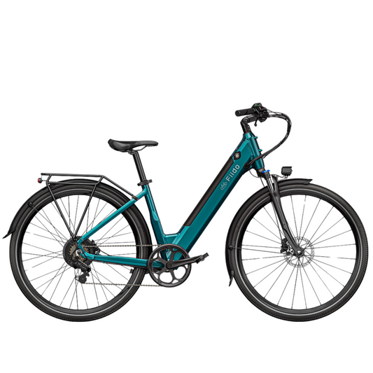 Fiido C11 city E-bike