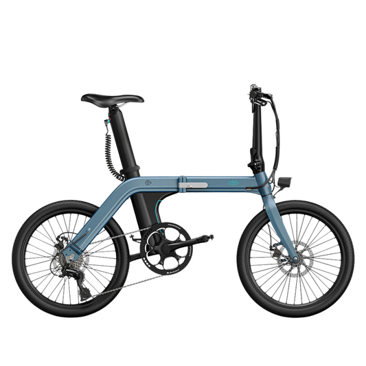 Fiido D11 Folding E-bike