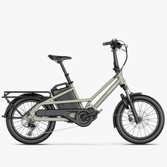 Fiido T3 – Bicicleta Elétrica Cargo Urbana e Familiar