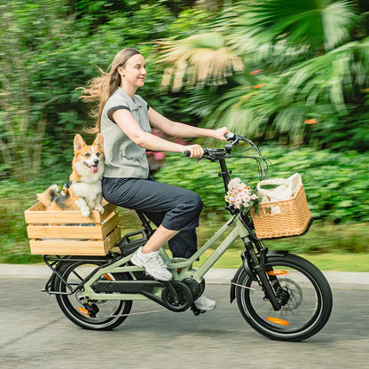 Fiido T3 – Bicicleta Elétrica Cargo Urbana e Familiar