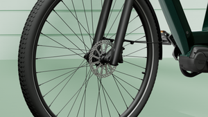 TENWAYS AGO T  | Urban All-rounder e-Bike | 100 km