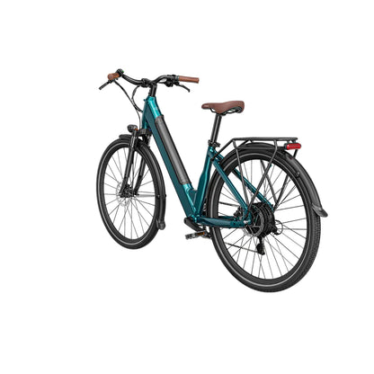 Fiido C11 Pro City E-Bike