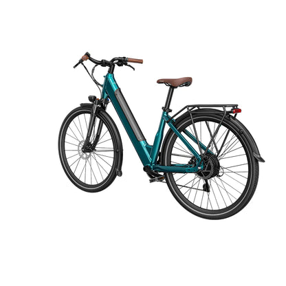 Fiido C11 Pro City E-Bike