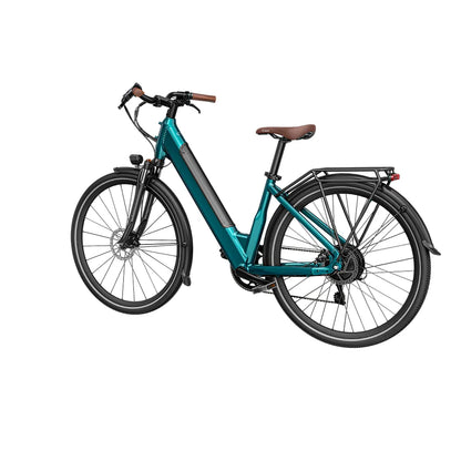 Fiido C11 Pro City E-Bike