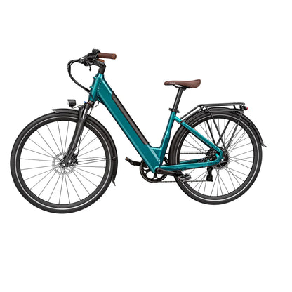 Fiido C11 Pro City E-Bike