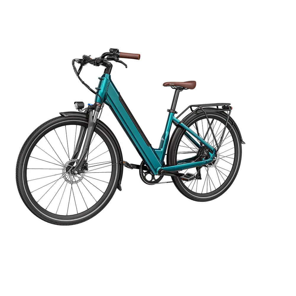 Fiido C11 Pro City E-Bike