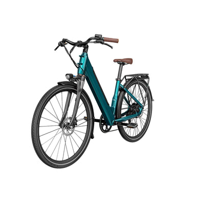 Fiido C11 Pro City E-Bike