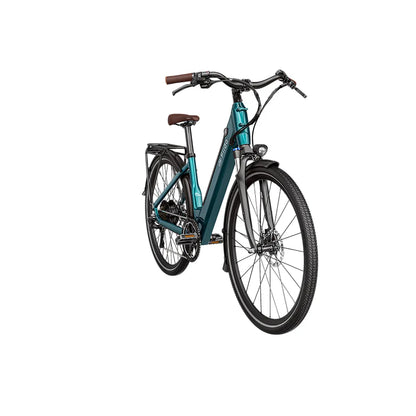 Fiido C11 Pro City E-Bike