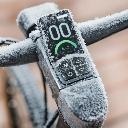 Fiido C21 Gravel & City E-Bike