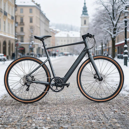 Fiido C21 Gravel & City E-Bike