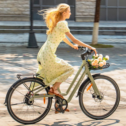 Fiido C700 City E-Bike