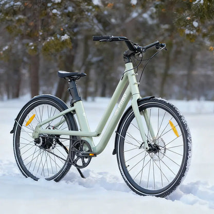 Fiido C700 City E-Bike