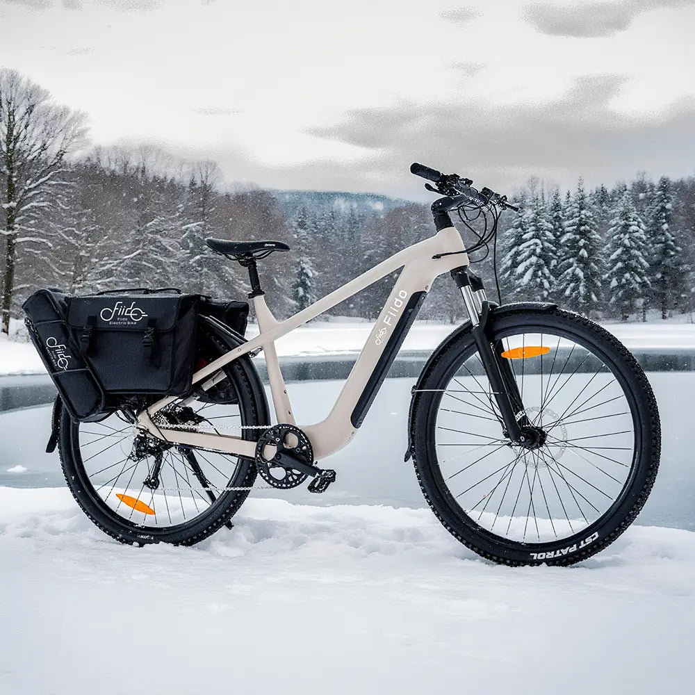 Fiido Nomads Touring E-bike