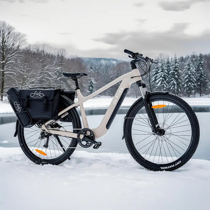 Fiido Nomads Touring E-bike