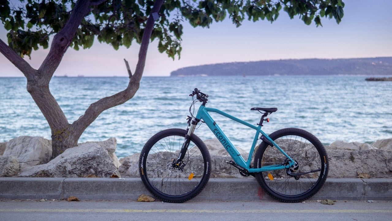 ECONIC ONE Cross-Country | Sport e-Bike | 110 km - UNFUEL