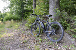 Carregar imagem no visualizador da galeria, Eleglide M1 Plus e-bike | 100 km - UNFUEL
