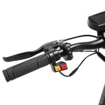 Carregar imagem no visualizador da galeria, KUGOO G2 PRO | Trotinete elétrica 800W - UNFUEL
