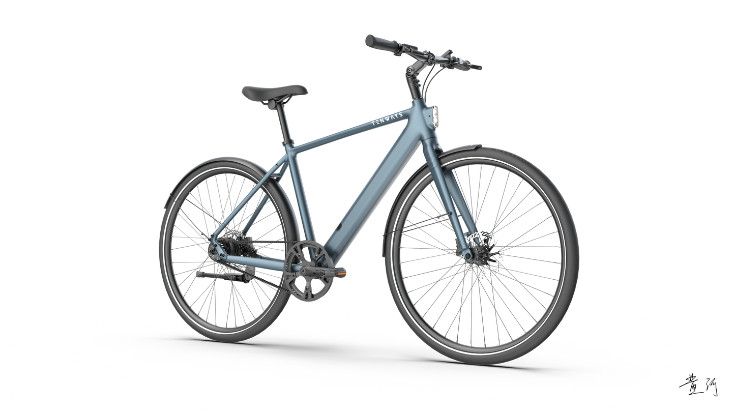 TENWAYS CGO600 PRO  | Urban e-Bike | 100 km