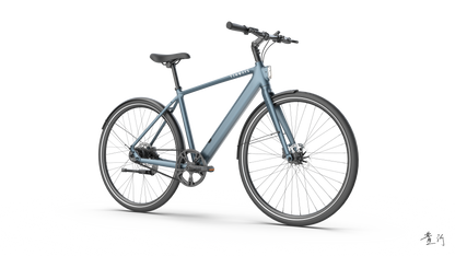 TENWAYS CGO600 PRO  | Urban e-Bike | 100 km