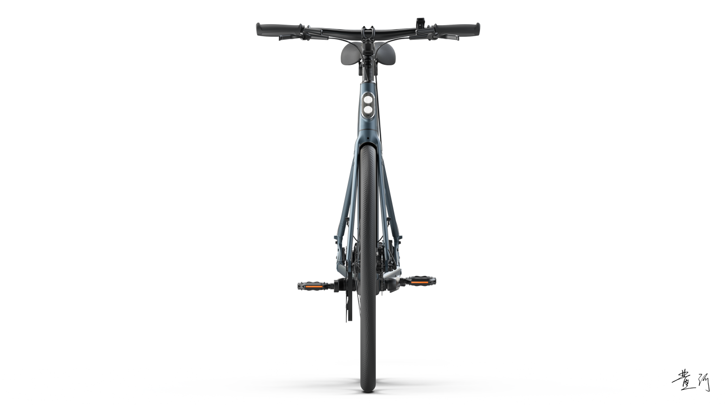 TENWAYS CGO600 PRO  | Urban e-Bike | 100 km