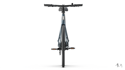 TENWAYS CGO600 PRO  | Urban e-Bike | 100 km