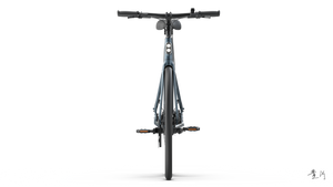 TENWAYS CGO600 PRO  | Urban e-Bike | 100 km
