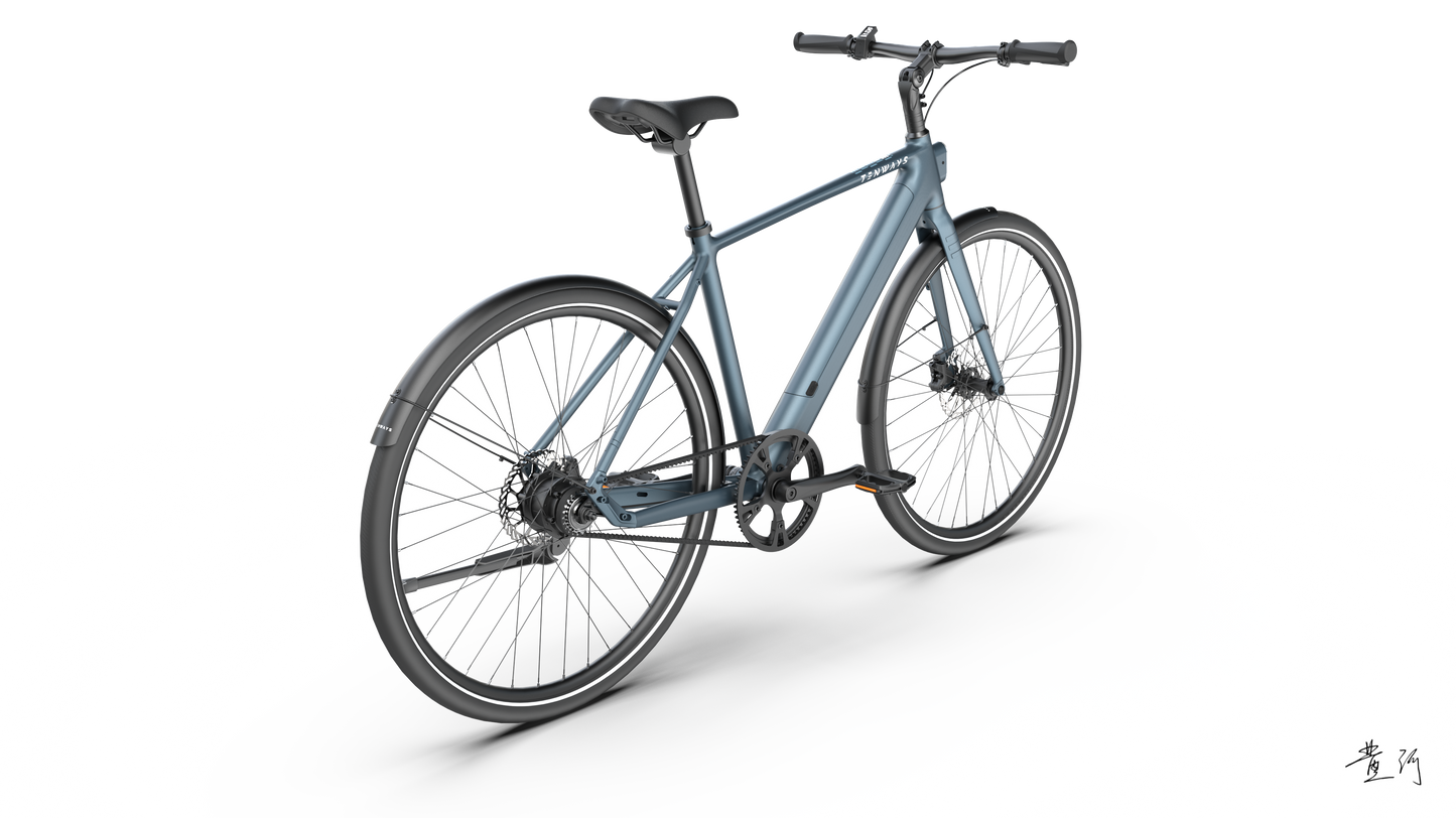TENWAYS CGO600 PRO  | Urban e-Bike | 100 km