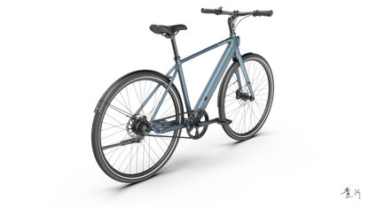 TENWAYS CGO600 PRO  | Urban e-Bike | 100 km