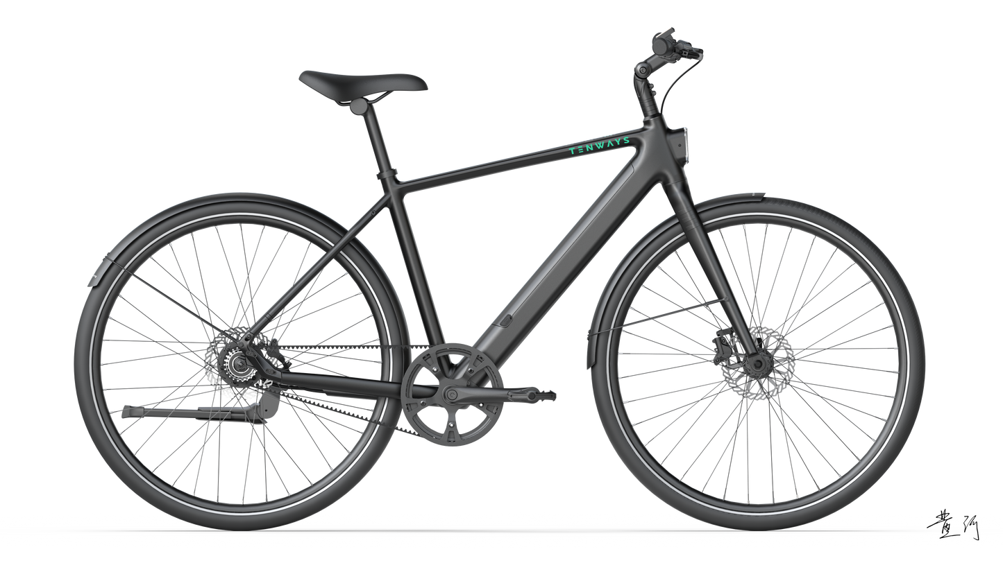 TENWAYS CGO600 PRO  | Urban e-Bike | 100 km