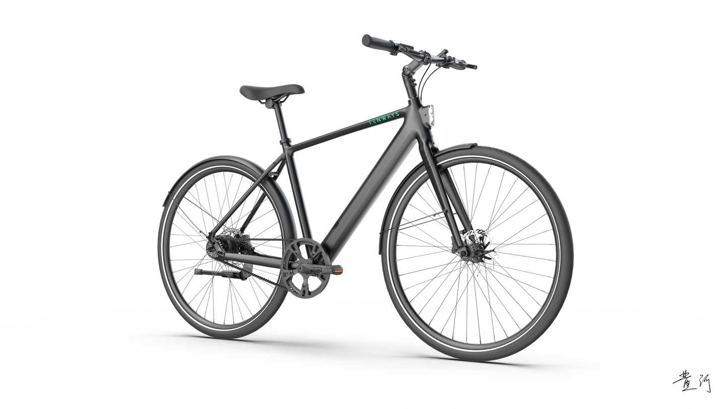 TENWAYS CGO600 PRO  | Urban e-Bike | 100 km