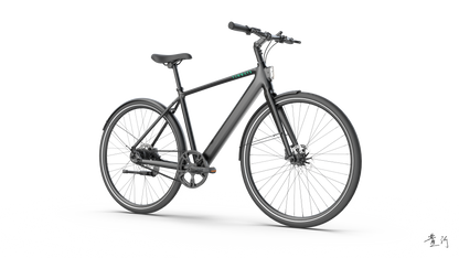 TENWAYS CGO600 PRO  | Urban e-Bike | 100 km