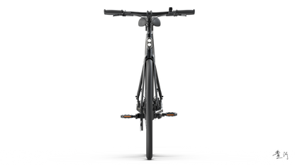TENWAYS CGO600 PRO  | Urban e-Bike | 100 km