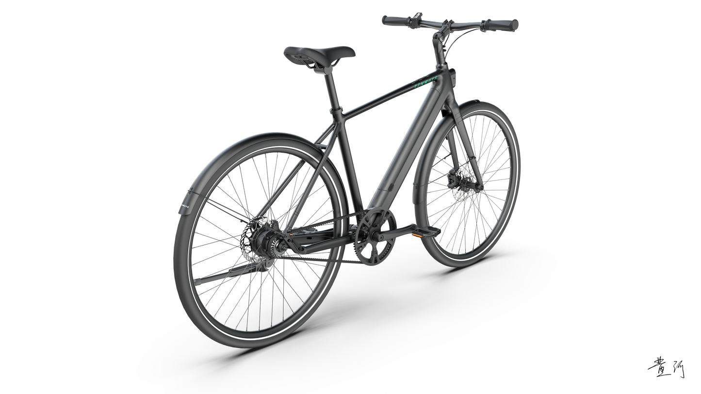 TENWAYS CGO600 PRO  | Urban e-Bike | 100 km