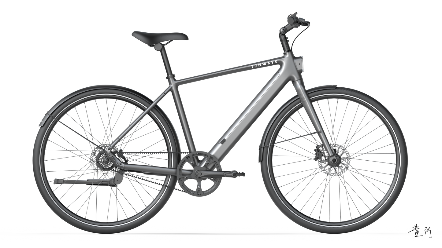 TENWAYS CGO600 PRO  | Urban e-Bike | 100 km