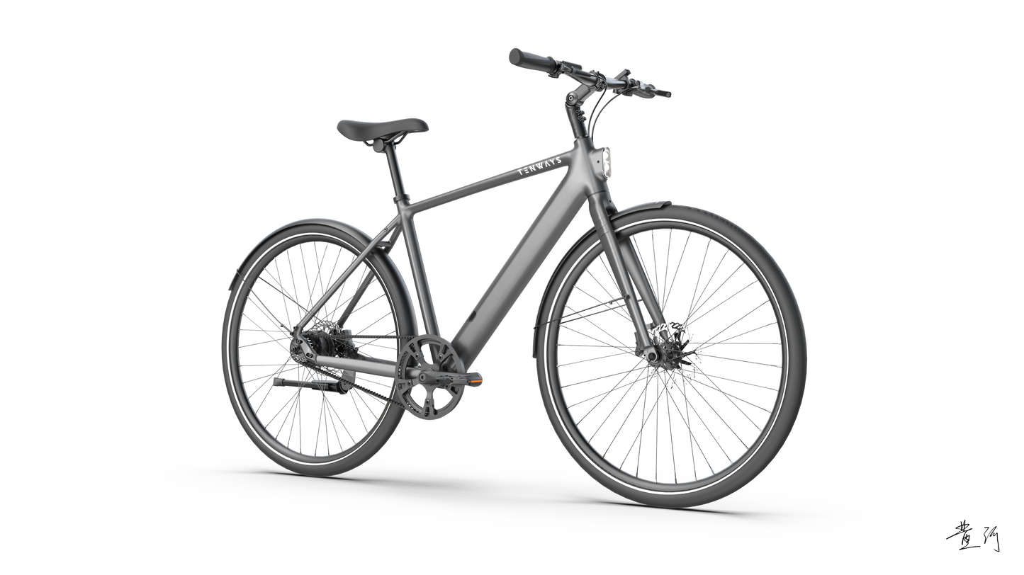 TENWAYS CGO600 PRO  | Urban e-Bike | 100 km