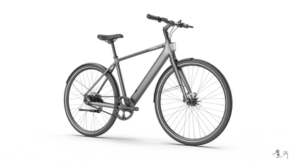 TENWAYS CGO600 PRO  | Urban e-Bike | 100 km