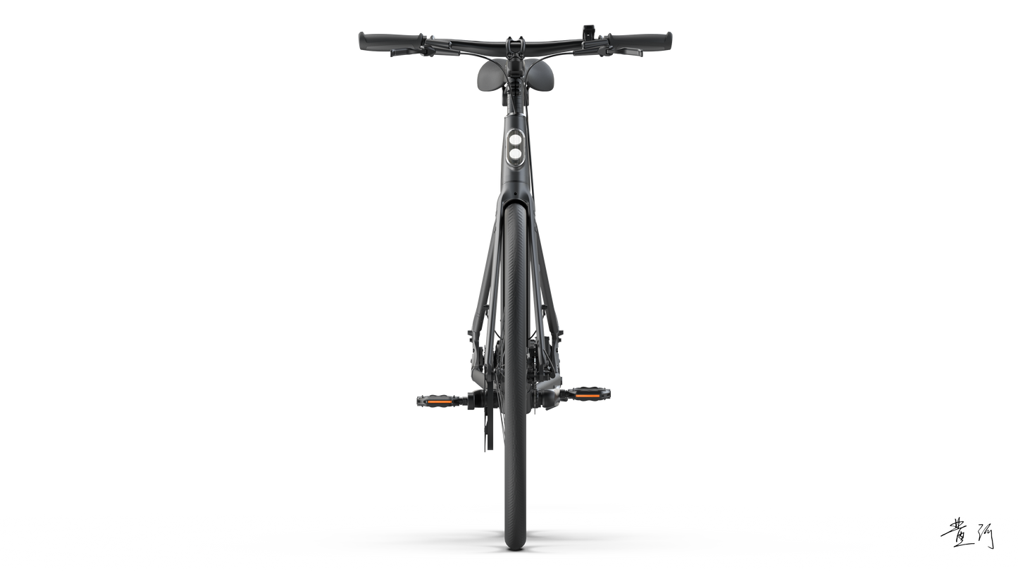 TENWAYS CGO600 PRO  | Urban e-Bike | 100 km