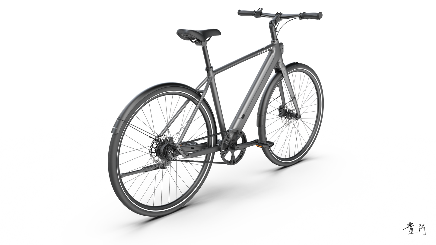 TENWAYS CGO600 PRO  | Urban e-Bike | 100 km