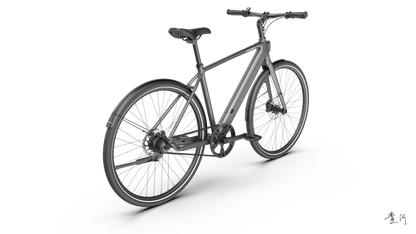 TENWAYS CGO600 PRO  | Urban e-Bike | 100 km