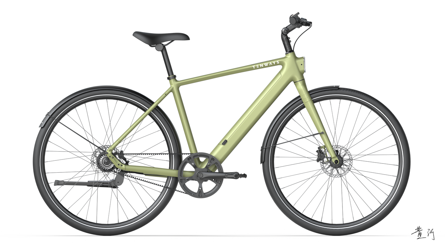 TENWAYS CGO600 PRO  | Urban e-Bike | 100 km