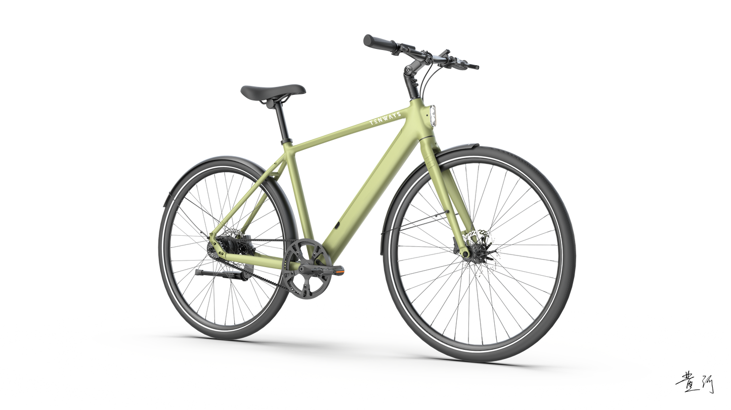 TENWAYS CGO600 PRO  | Urban e-Bike | 100 km