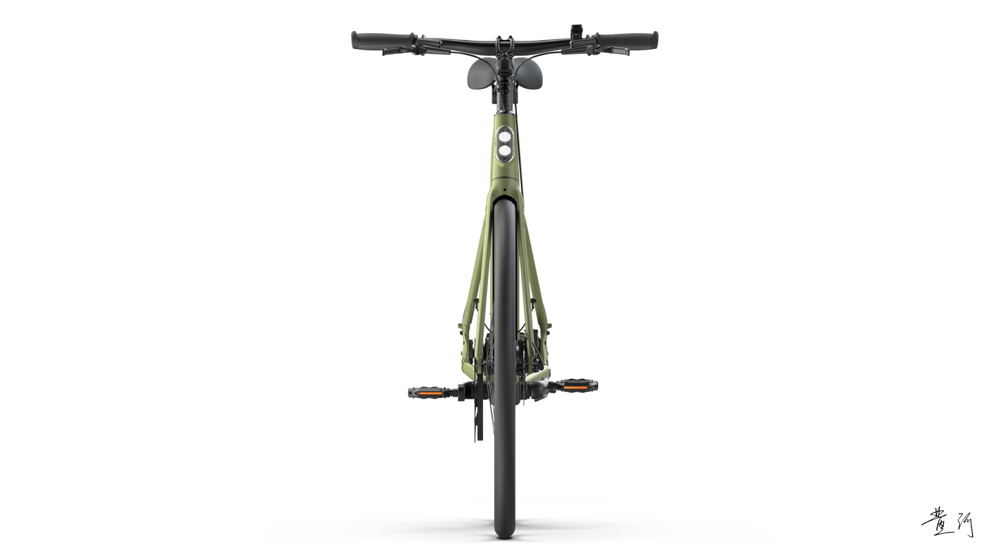 TENWAYS CGO600 PRO  | Urban e-Bike | 100 km