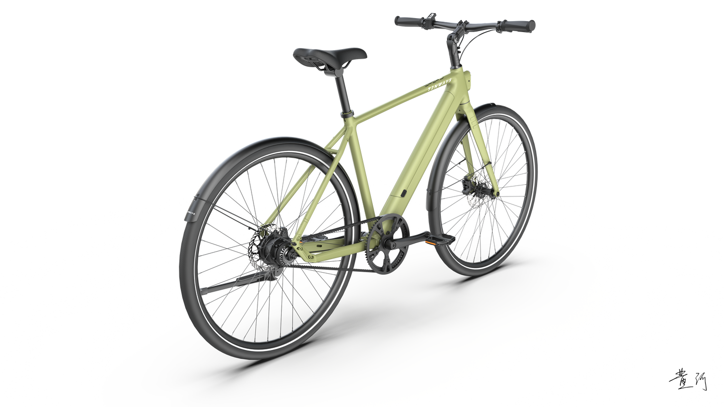 TENWAYS CGO600 PRO  | Urban e-Bike | 100 km