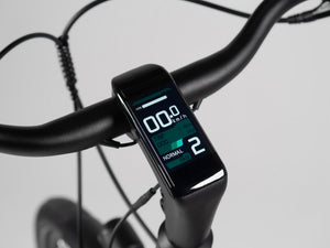 TENWAYS CGO800S  | Urban e-Bike | 100 km