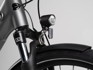 TENWAYS CGO800S  | Urban e-Bike | 100 km