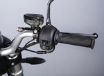 Carregar imagem no visualizador da galeria, Horwin CR6 | Mota elétrica | 125cc equiv | 120 km

